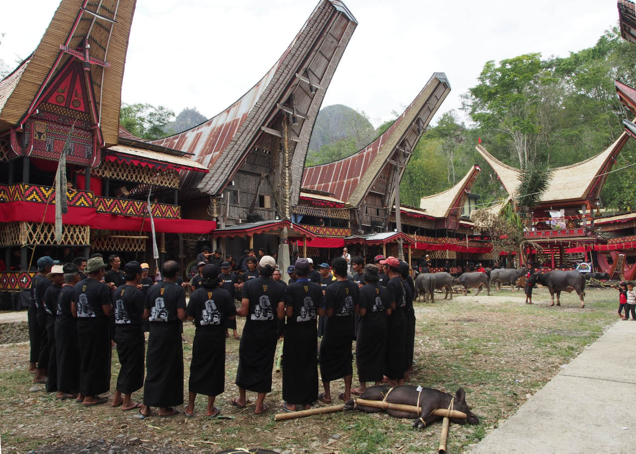 Cérémonies de funérailles en pays Toraja